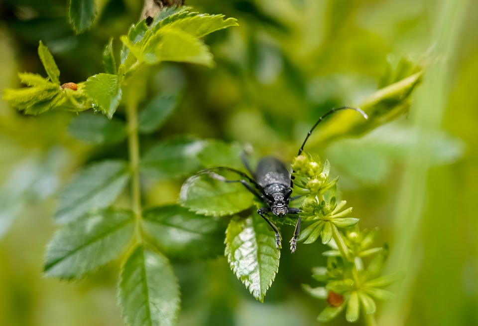 Climate-Conscious Cooling: The Importance of Ecology in HVAC Technology
