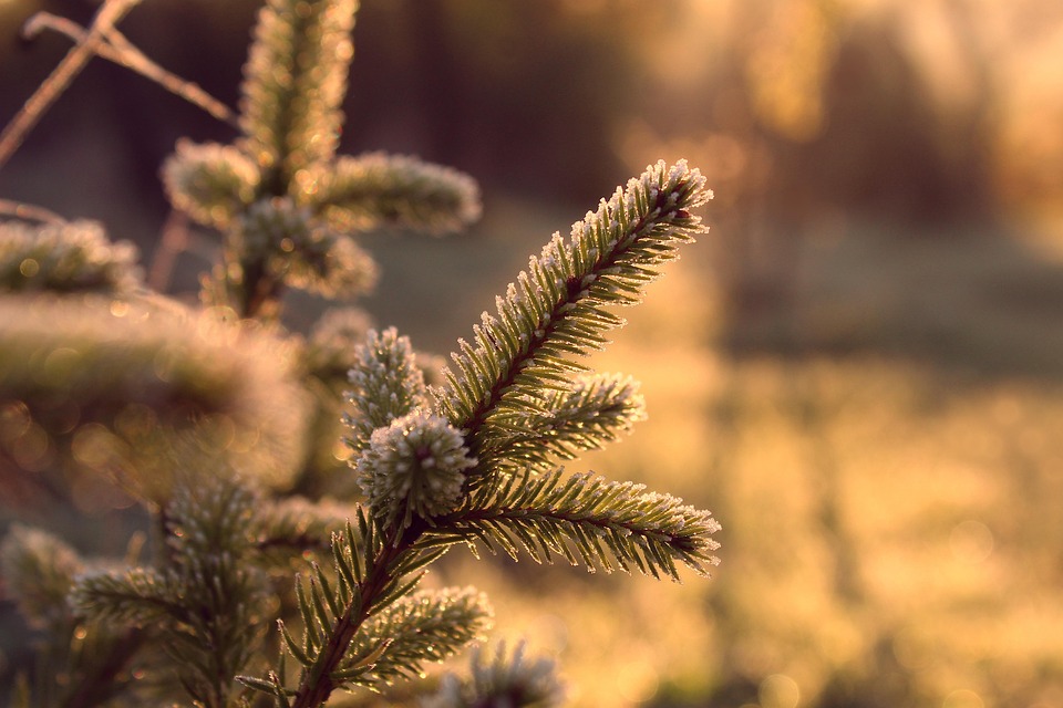 Greening Your Air: The Role of Ecology in Modern HVAC Systems