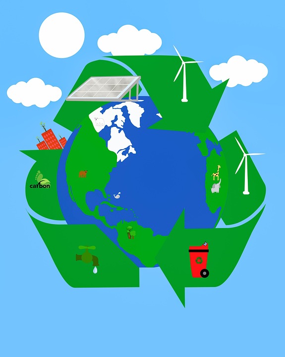 Fostering a Connection: How Ecological Education Can Inspire Change